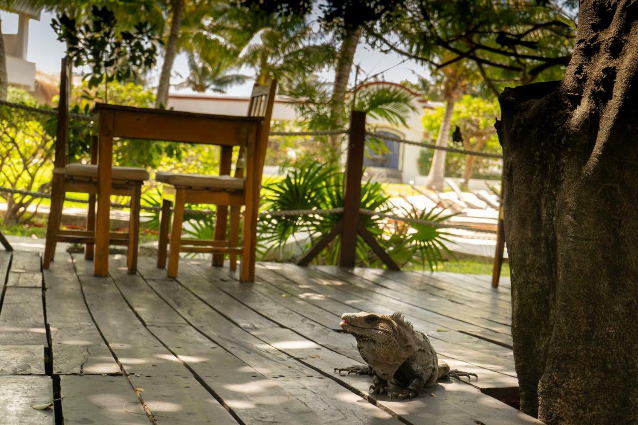 Marina Paraiso Isla Mujeres Hotel Eksteriør billede